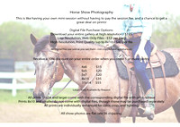 Horse show photography web